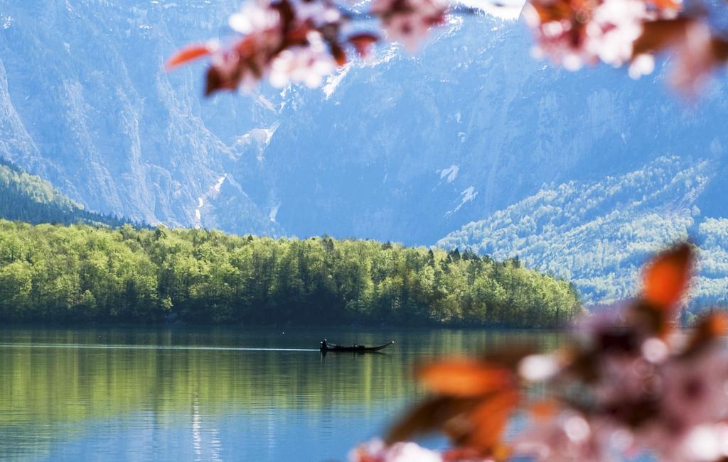Park Am See Obertraun Eksteriør billede